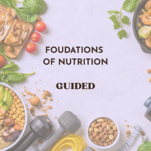 Foundation Level 1 Guided