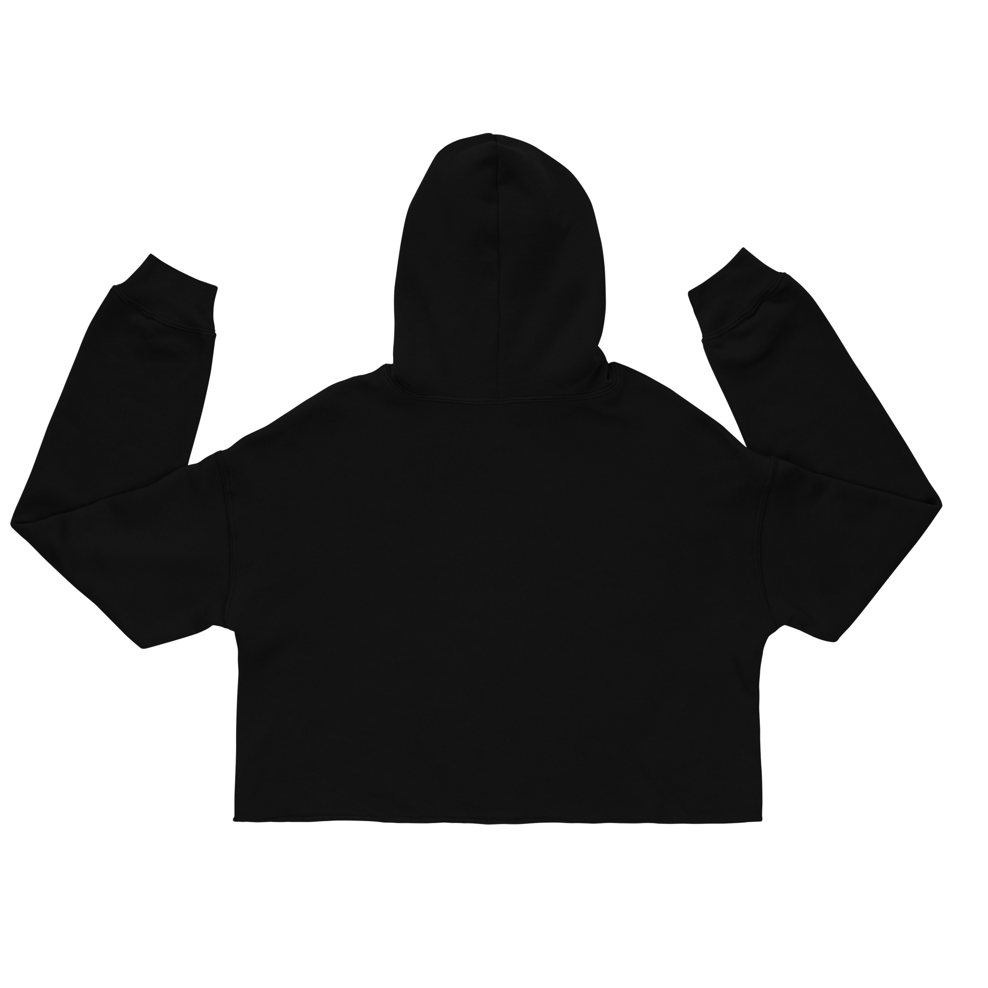 SGB Crop Hoodie - Image 5